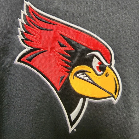 NWOT Nike Redbird Hooded Steel Gray Polyester Sweatshirt Size Small - Picture 7 of 13
